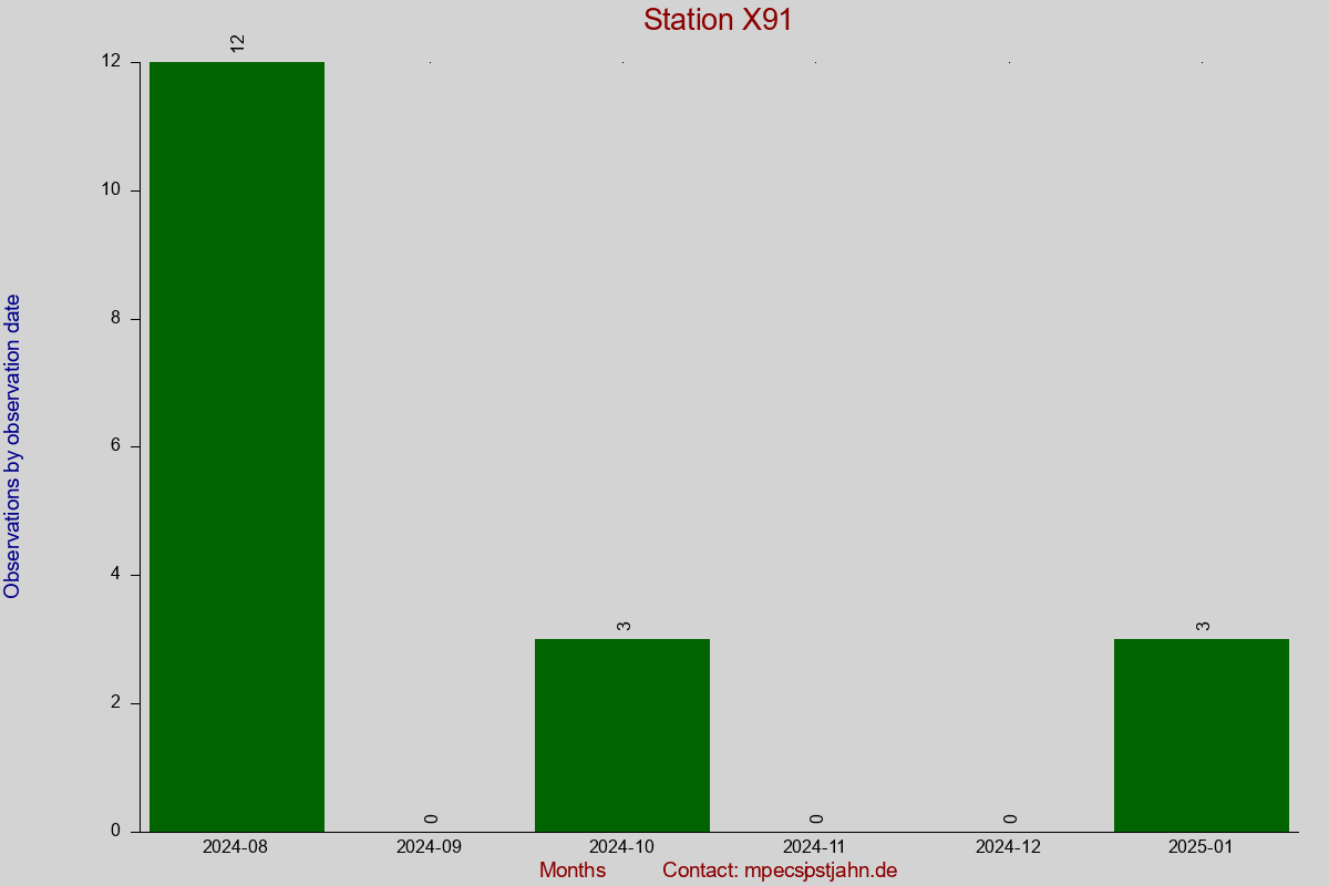 Observation totals by observation interval for station X91